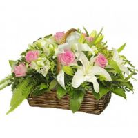 «Тропическая свежесть»