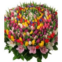 «Карусель любви»