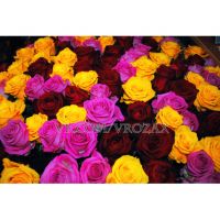 Весенний микс из 101 розы