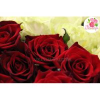 101 роза: красная + белая