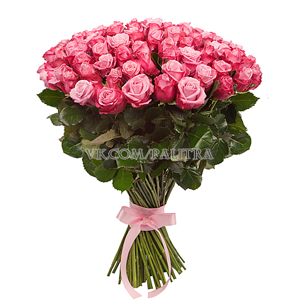 101 розовая роза «Дип Вотер»