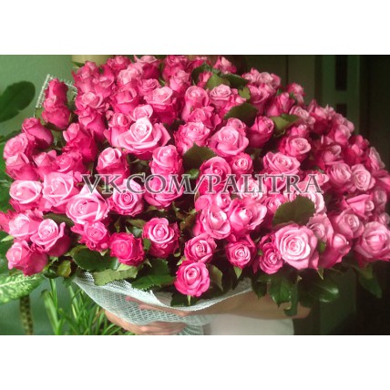 101 розовая роза «Дип Вотер»