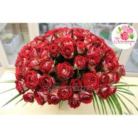 101 роза «Люксор»