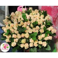 101 бежевая роза   «Талея»