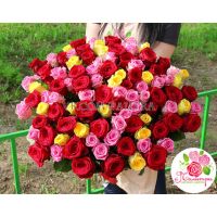 Весенний разноцветный букет из 101 розы