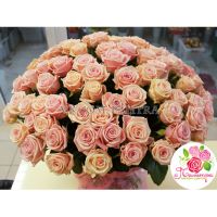 101 роза нежно-розовая