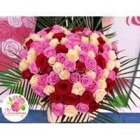 101 роза МИКС в форме сердца