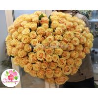 101 кремовая роза «Талея» в форме сердца