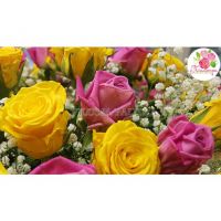 51 роза: розовая + желтая