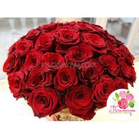 51 бордовая роза  «Гран-при»