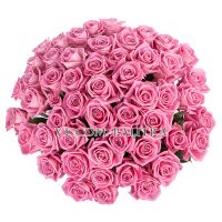 51 розовая роза «Аква»