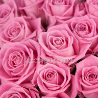 51 розовая роза «Аква»