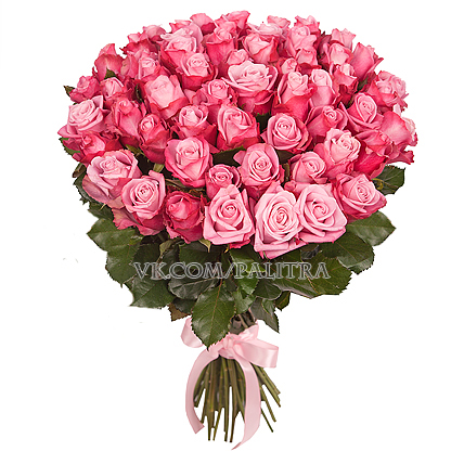 51 розовая роза «Дип Вотер»