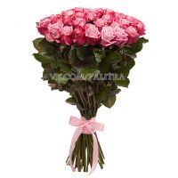 51 розовая роза «Дип Вотер»