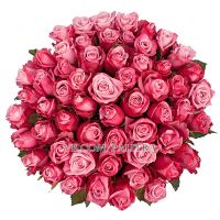 51 розовая роза «Дип Вотер»