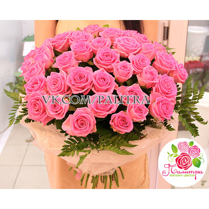 41 розовая роза «Аква»