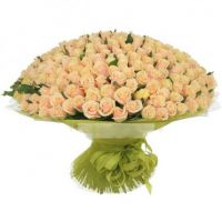 201 кремовая роза «Талея»