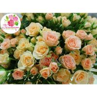 101 кустовая роза: кремовая + розовая