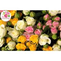 «Весенний микс» из 101 кустовой розы