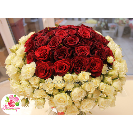 101 роза: красная + кустовая  белая