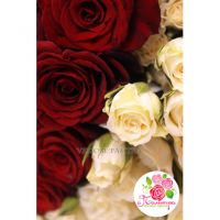 101 роза: красная + кустовая  белая