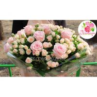 51 роза: нежно-розовая + кустовая кремовая