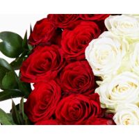 101 роза: красная + белая