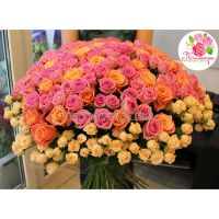 151 роза: коралловая + розовая + кустовые розы