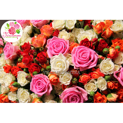 Яркий микс из 101 розы: розовая + кустовые