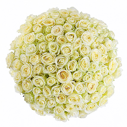 101 белая роза «Вайт Наоми»