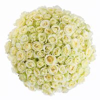 101 белая роза «Вайт Наоми»