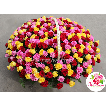Яркая корзина из 333 разноцветных роз 