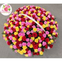 Яркая корзина из 333 разноцветных роз 