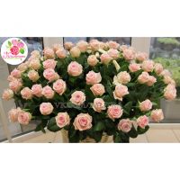 Корзина из 101 розы «Лав анлимитед»