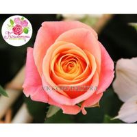 Корзина с лилиями, розами и альстромериями