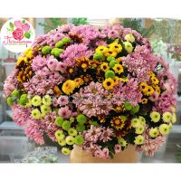 Мегамикс  из  51 хризантем