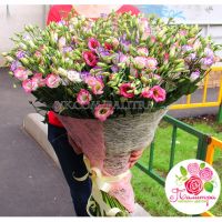 Микс из 101 лизиантуса