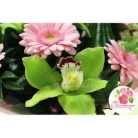 Букет с орхидеями и герберами 