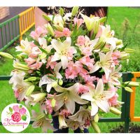 Букет с лилиями и альстромериями 