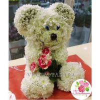 Мишка белый