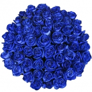 101 роза синяя