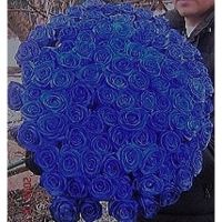 101 роза синяя