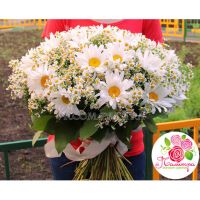 Букет из одноголовых и кустовых ромашек