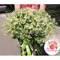 Букет из 51 ромашки