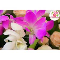 Букет из орхидей и кустовых роз