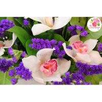 Букет из орхидей и статицы