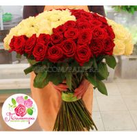 151 роза: бордовая  + белая