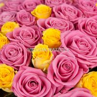 101 роза : желтая + розовая