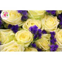 251 белая роза «Вайт Наоми», статица