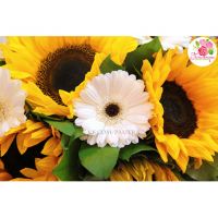 Букет из 15 подсолнухов и гербер